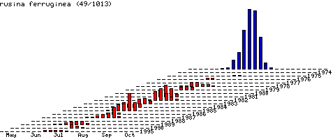 [ferruginea-stats.gif]